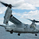 (US Navy)